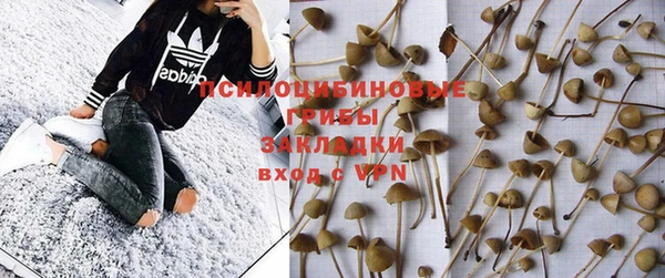 спайс Гусиноозёрск