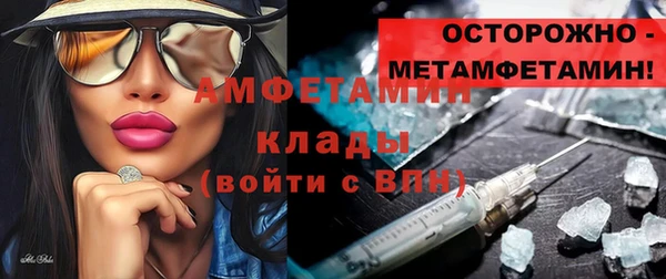тгк Дмитриев